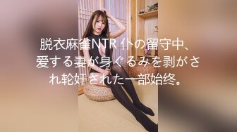 脱衣麻雀NTR 仆の留守中、爱する妻が身ぐるみを剥がされ轮奸された一部始终。