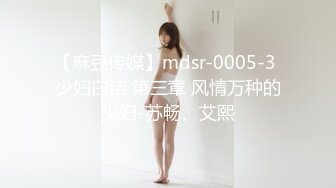 【麻豆传媒】mdsr-0005-3 少妇白洁 第三章 风情万种的少妇-苏畅、艾熙