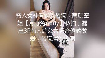 穷人女神有钱人母狗，南航空姐【月野兔mmy】私拍，露出3P有人的公共场合偸偸做爱，母狗属性拉满