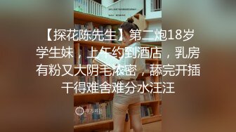 【探花陈先生】第二炮18岁学生妹，上午约到酒店，乳房有粉又大阴毛浓密，舔完开插干得难舍难分水汪汪