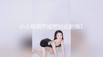 小小母狗不成想如此耐操1