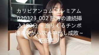 カリビアンコム プレミアム 020323_002 怒涛の連続挿入180分 ～迫りくるチンポ達を次から次へ中出し成敗～佐伯エリ