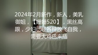 2024年2月新作，新人，美乳御姐，【姗姗520】，黑丝高跟，少妇已经各种放飞自我，需要大鸡巴来插