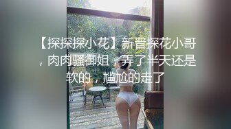 【探探探小花】新晋探花小哥，肉肉骚御姐，弄了半天还是软的，尴尬的走了