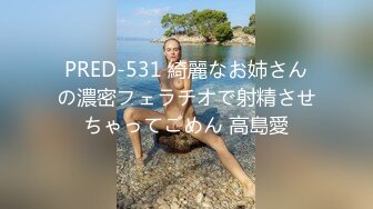 PRED-531 綺麗なお姉さんの濃密フェラチオで射精させちゃってごめん 高島愛