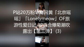 P站20万粉华裔网黄「北京瑶瑶」「Lonelymeow」OF旅游性爱日记 3P百合爆菊潮吹露出【第三弹】 (3)