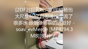 [2DF2]巨乳粉穴的国模杨怡大尺度私拍 自慰棒按摩流了很多水 跟摄像师聊的还挺好 - soav_evMerge [MP4/94.3MB][BT种子]