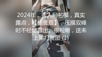 2024年，秀人网名模，真实露点，【杨晨晨】，抚摸双峰时不经意露出。很粉嫩，送未上架打赏图 (1)