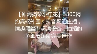 【神剑摘朵小红花】3800网约高端外围，抖音网红主播，情趣黑丝，超清设备，抽插鲍鱼细节角度完美佳作